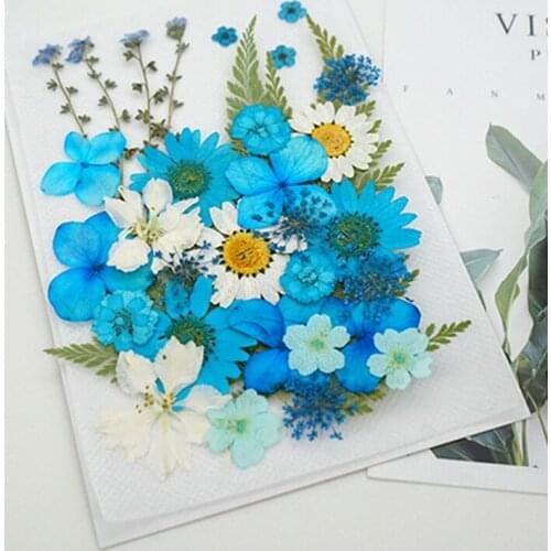 DIY Dried Flowers Resin Mold Fillings UV Expoxy Flower for Nail Art Pressed Flowers for Home Decor Handicraft Artifical Flowers