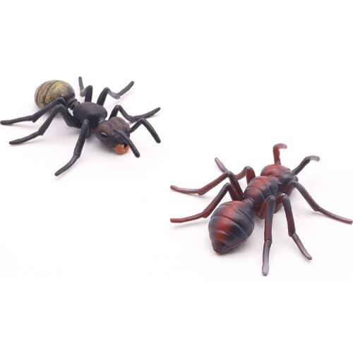 Home Furnishings Simulation Ant Model Insect Home Craft Decorations