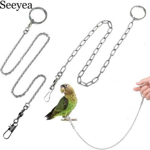 Parrot Stainless Steel Foot Chain Outdoor Sports Flight Training Anti Off Leg Ring Rope Macaw Myna Pet Birds Supplies Seeyea