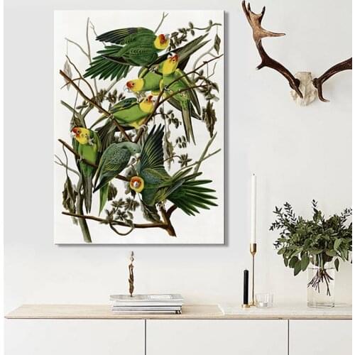 Audubons American Bird Posters and Prints Mural Art Canvas Painting Illustration Living Room Decoration
