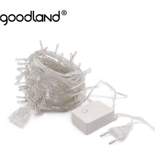 Goodland LED Holiday Light Bulbs