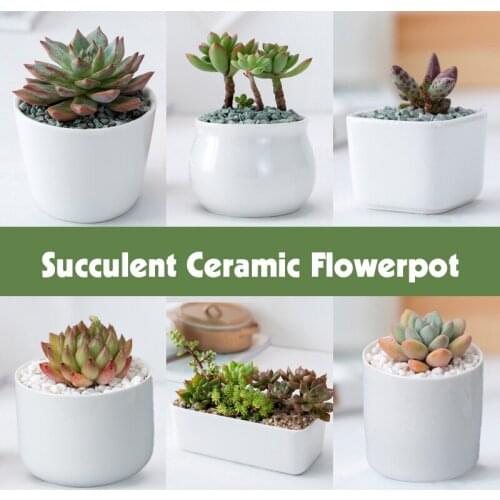 Creative White Ceramics Flower Pots Mini Flower Pot Garden Nursery Pots With Hole For Succulent Plant Simple Desktop Decoration