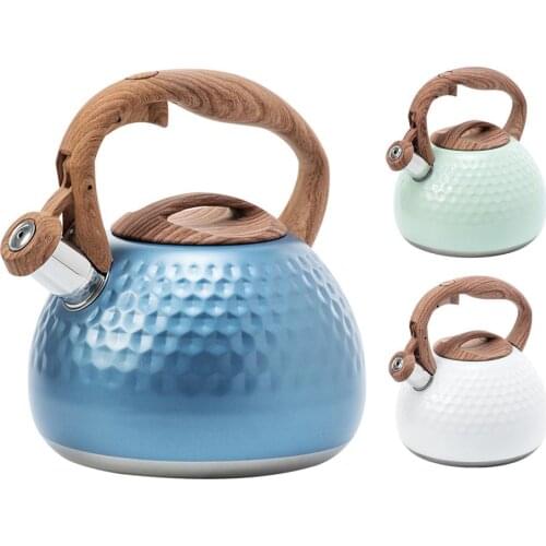 2.8L Stainless Steel Whistling Tea Kettle Food Grade Tea Pot With Heat-Proof Handle - Stovetop Suitable For Gas Induction Cooker