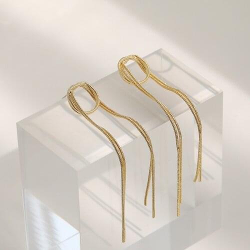 2021 New Long Metal Tassels Temperament Senior Drop Earrings Contracted Geometric Circular Fashion Women Earrings Fine