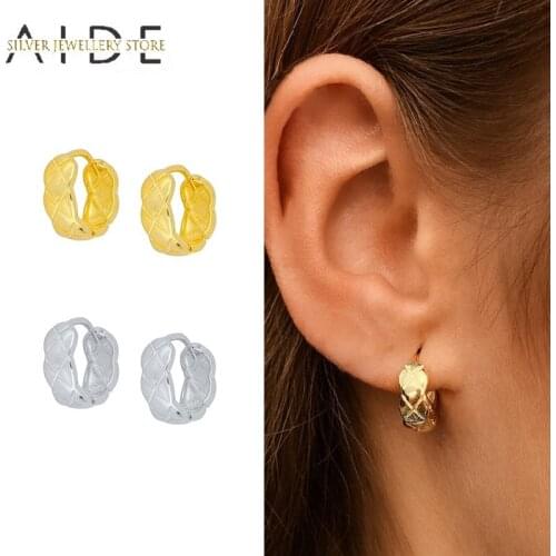 AIDE Exaggerated 925 Sterling Silver Hoop Earrings For Women Punk Wave Circle Serpentine Piercing Huggie Earings Jewelry brincos