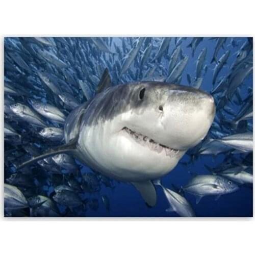 Kufwkey Diamond mosaic,accessories,shark,Diamond Painting Full Round,5D Diamond picture With Rhinestones Embroidery,koi fish art