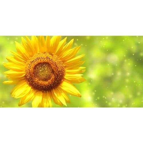 Large Bath Towel Microfiber Swimwear Sport Absorption Quick Dry washrag Sunflowers Hand Face Beach Towels 70x140cm