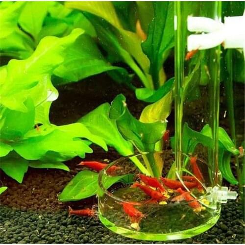 Red bee shrimp feeder long tube bottom fish arcylic aquarium fish marine coral reef tank