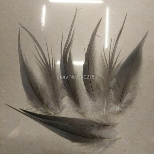 100 PCS of rare natural gray Heron feathers long 8-10 inches / 20-25 cm beautiful feathers