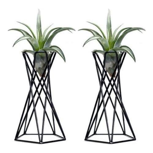 Pack of 2 Tabletop Air Plant Holder Air Plant Stands Air Plant Container Tillandsia Holder Tillandsia Stand Home Decor