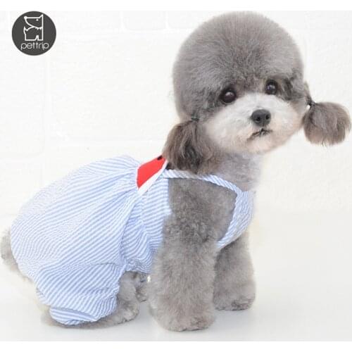 Pet Cat Costume Small Dog Cat Clothes Cute Puppy Cat Kitten T-shirt Summer Vest Shirt Apparel for Spring and Summer