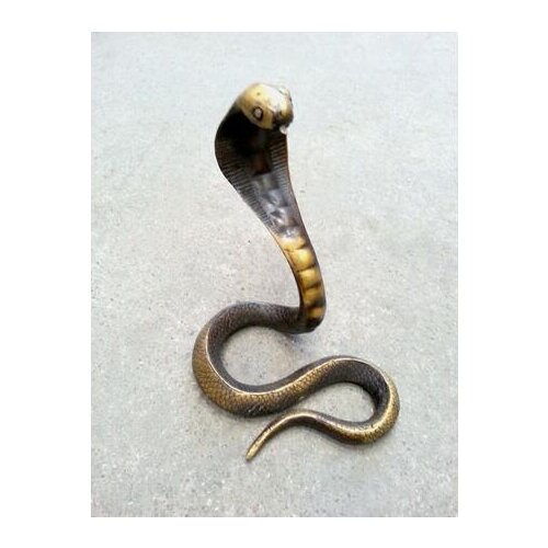 Height 20CM Copper Brass crafts decoration Collection! Chinese Antique BRASS the Snake Cobra king cobra pattern statue