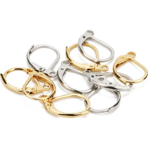 20pcs/lot 316 Stainless Steel French Lever Earring Wire D Shape Earring Hooks Clasp for DIY Jewelry Making Findings Supplier