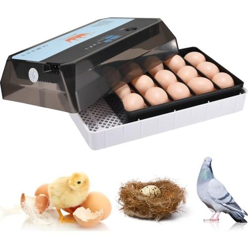 Fully Automatic Incubator For Eggs LED Control Automatically Turning Hatchery Machine For Birds Quail Chicken Home Farm Brooder