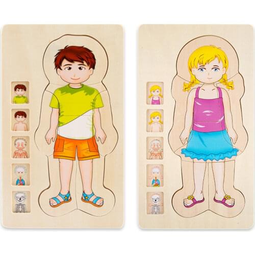 Multi-Layer Wooden Human Body Puzzles Structure Toys Children Early Learning Educational Body Cognition Baby Toys Puzzles