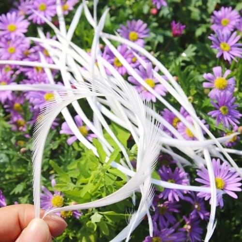 Wholesale 50pcs Natural Goose Feathers for Headdress 10-15cm Plumas Clip In Hari Extensions Decoration Headpiece Plumes Feather