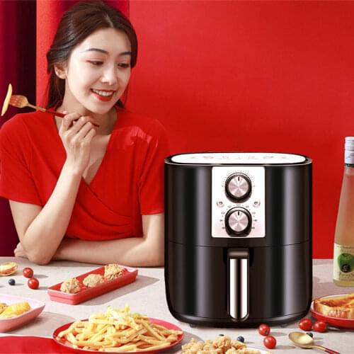 LEESINEO Electric Fryers