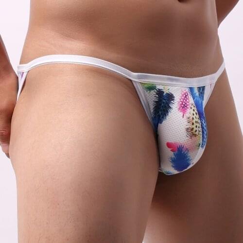 Mens Briefs Sexy Low Rise Briefs Breathable G-String Bulge Pouch Underwear Male Underpants