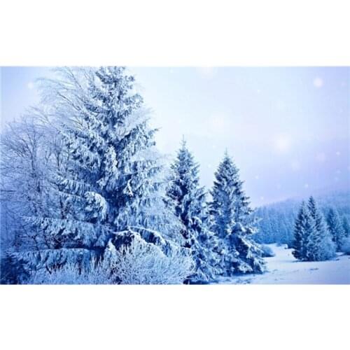 Embroidery, Diamond mosaic, DIY 3D Diamond painting, squre full Diamond Embroidery Rhinestone Forest & snow scene series picture