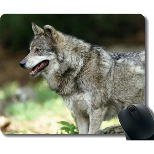Gaming Mouse Mat,Animal wolf university Rubber Large Mouse pad Mat