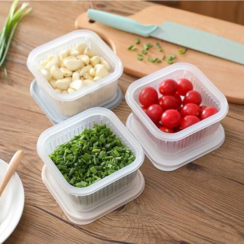 Drain basket Square Sealed Box Ginger Garlic Onion Food Container Fruit Vegetable Refrigerator Storage Strainer Washing Drainer