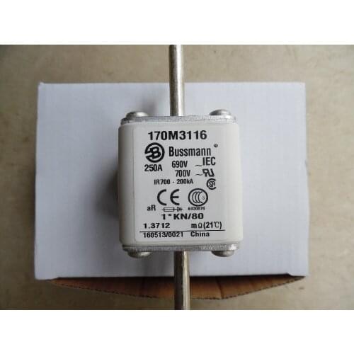 Free shipping 5pcs Fuses: 170M3116 250A 690V aR