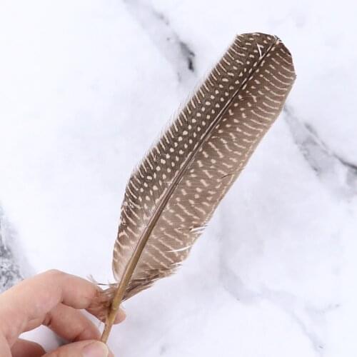 10Pcs Natural Spotted Guinea fowl feathers 15-20CM Pheasant Feather DIY Crafts Home Party Decoration Plumes