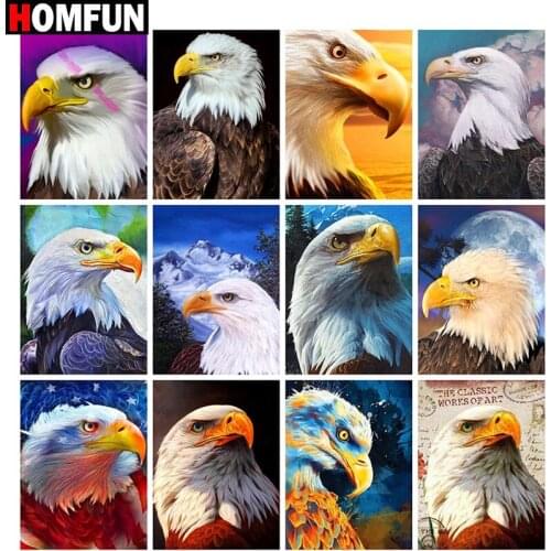 HOMFUN Full Square/Round Drill 5D DIY Diamond Painting "Animal eagle head theme" Embroidery Cross Stitch 5D Home Decor Gift