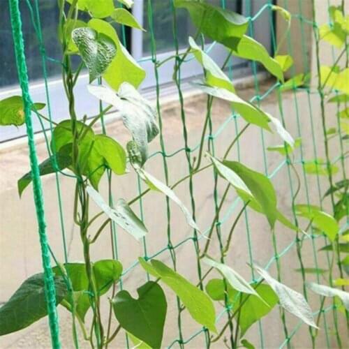 Garden Nylon Mesh Horticulture Plant Crawl Net Loofah Morning Glory Cucumber Vine Grow Holder Crawl Farm Gardening Network