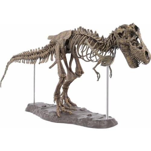 LARGE DINOSAUR FOSSIL SKULL ANIMAL MODEL TOYS TYRANNOSAURUS REX ASSEMBLE THE SKELETON MODEL FURNISHING ARTICLES DECORATION