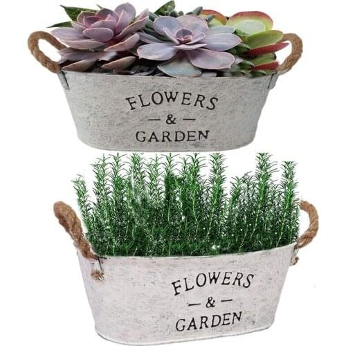 Set of 2 Rustic Metal Planters with Handles,Farmhouse Succulents Herbs Pots,Vintage Plants Container for Indoor