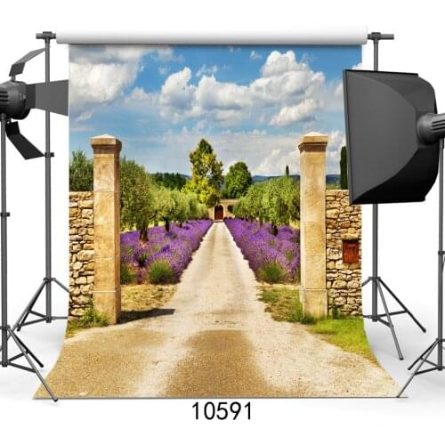Garden Green Trees Purple Flowers Sandy Road Vinyl Photography Background For Baby Backdrops Adult Photo Shoot Booth Studio