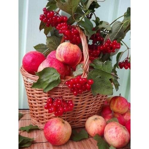 MaHuaf-W1515 Fruits and berries painting by numbers diy digital canvas oil painting home decor