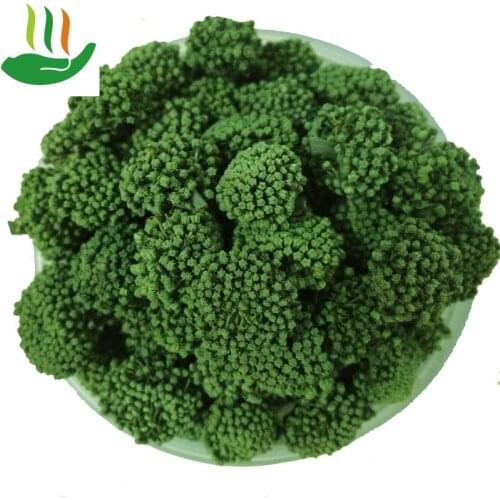 Panax Notoginseng, Four-year Pure Natural Tianqi Flowers,Chinese, Sanqihua