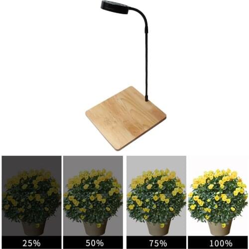 Simple USB Fish Tank Spotlight Miniature Landscape Aquatic Light with Wood Board Diving Light Aquarium Home Decorative Lighting