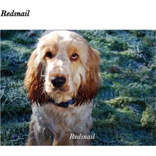 Full Drill 5D DIY Diamond Painting British cocker spaniel handmade 3D Embroidery beaded Cross Stitch kits Mosaic Decor EE691