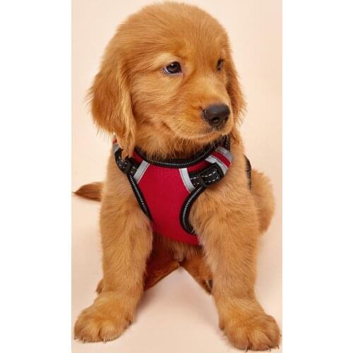 Safety Dog Harness for Vehicle,Adjustment Vest with Double Breathable Mesh Fabric with Car Vehicle Safety Seat Belt