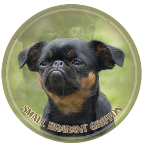 S40426# Various Sizes PVC Decal Petit Brabancon V2 Car Sticker For Bumper Rear Window Laptop Refrigerator Toilet