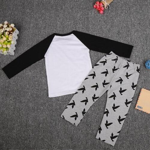 0-2Y Newborn Baby Girls Clothes Hoodie Tops T-shirt+Cotton Pants 2pcs suit newborn baby boys girls clothing sets