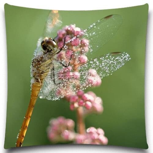 5 size 9 style Dragonfly Animal Cushion Covers insect Blue Green Square pillow case for Home car sofa Decor
