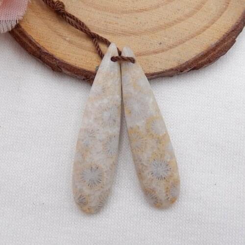 Natural Indonesian Fossil Coral fashion Semi-precious stones, Fashion Women Earriings Beads 42x10x4mm6g