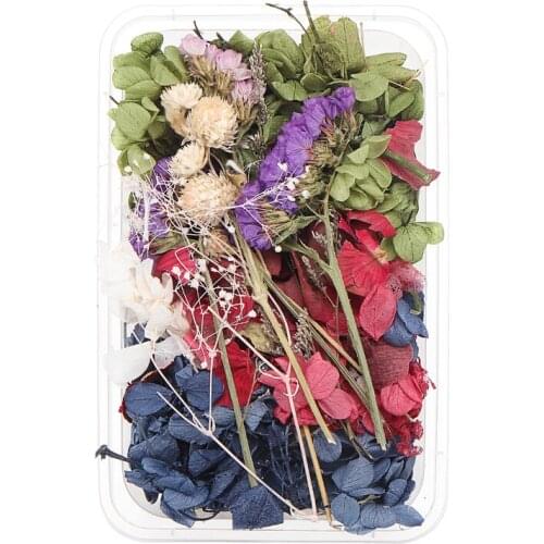 New 1Box Real Dried Leaf Flowers Plant Herbarium Craft Jewelry Making Casting Tool For DIY Mobile Phone Shell