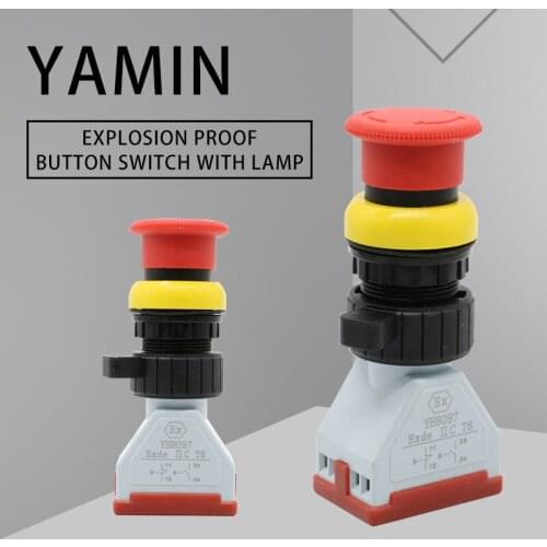 Push Button Switch Explosion-proof Control Latching Lock Rotating Mushroom Head 1NO 1NC Silver Contact