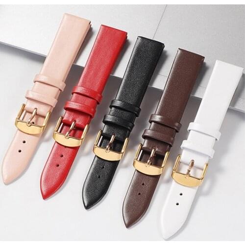 Watch accessories 10mm-22mm leather watch band new Pink red watch band crocodile leather needle chain for DW Daniel Wellington