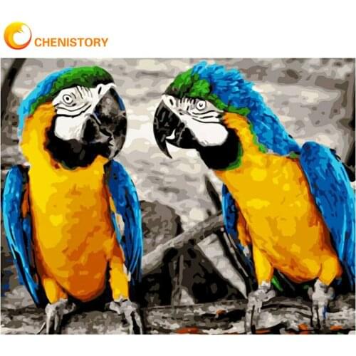 CHENISTORY Two Parrots Animal Picture By Numbers Kits For Adults Children 40x50cm Framed On Canvas Home Wall Decor Artcrafts