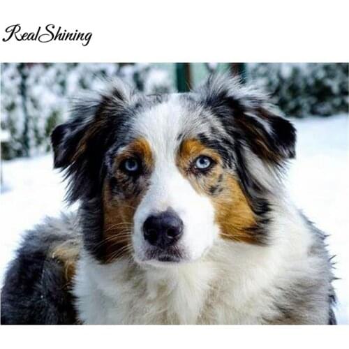 5D Diy mosaic Australian Shepherd Dog Full Square / Round resin Diamond Embroidery Crystal Rhinestones painting art FS5970
