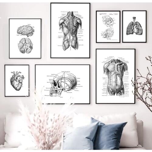 Black And White Brain Heart Skull kidney Anatomy Wall Art Canvas Painting Nordic Posters And Prints Wall Pictures Office Decor