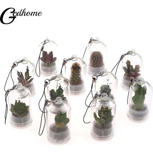 Cactus Miniature Succulent Cactus Terrarium Wearable Necklace Live DIY Succulent Plant Pendant Random Style