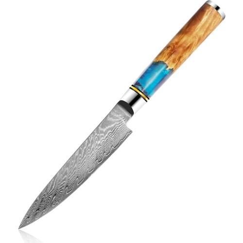 5 Inch Utility Knife 67 Layers Japanese Damascus Stainless Steel Blue Resin Handle Cooking Tools Chef Kitchen Knife Damascus