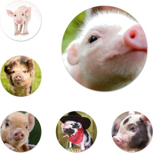 Mini Pet Small Cute Pig Icons Pins Badge Decoration Brooches Metal Badges For Clothes Backpack Decoration 58mm